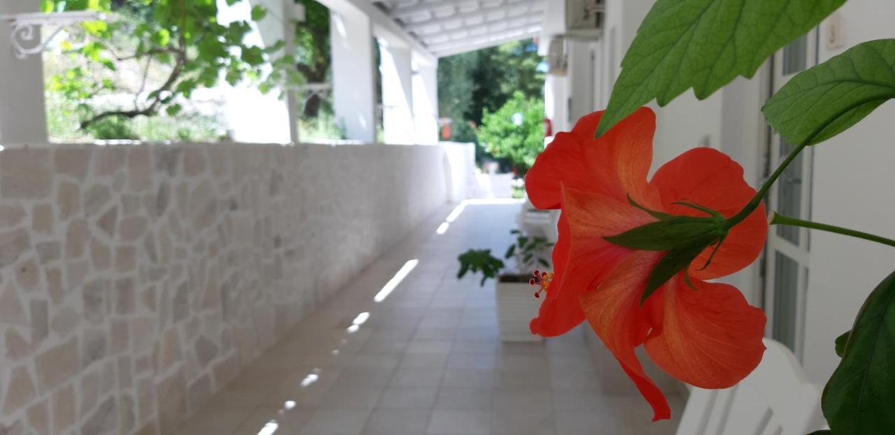 La Locanda Della Castellana Adults Only Peschici Kültér fotó